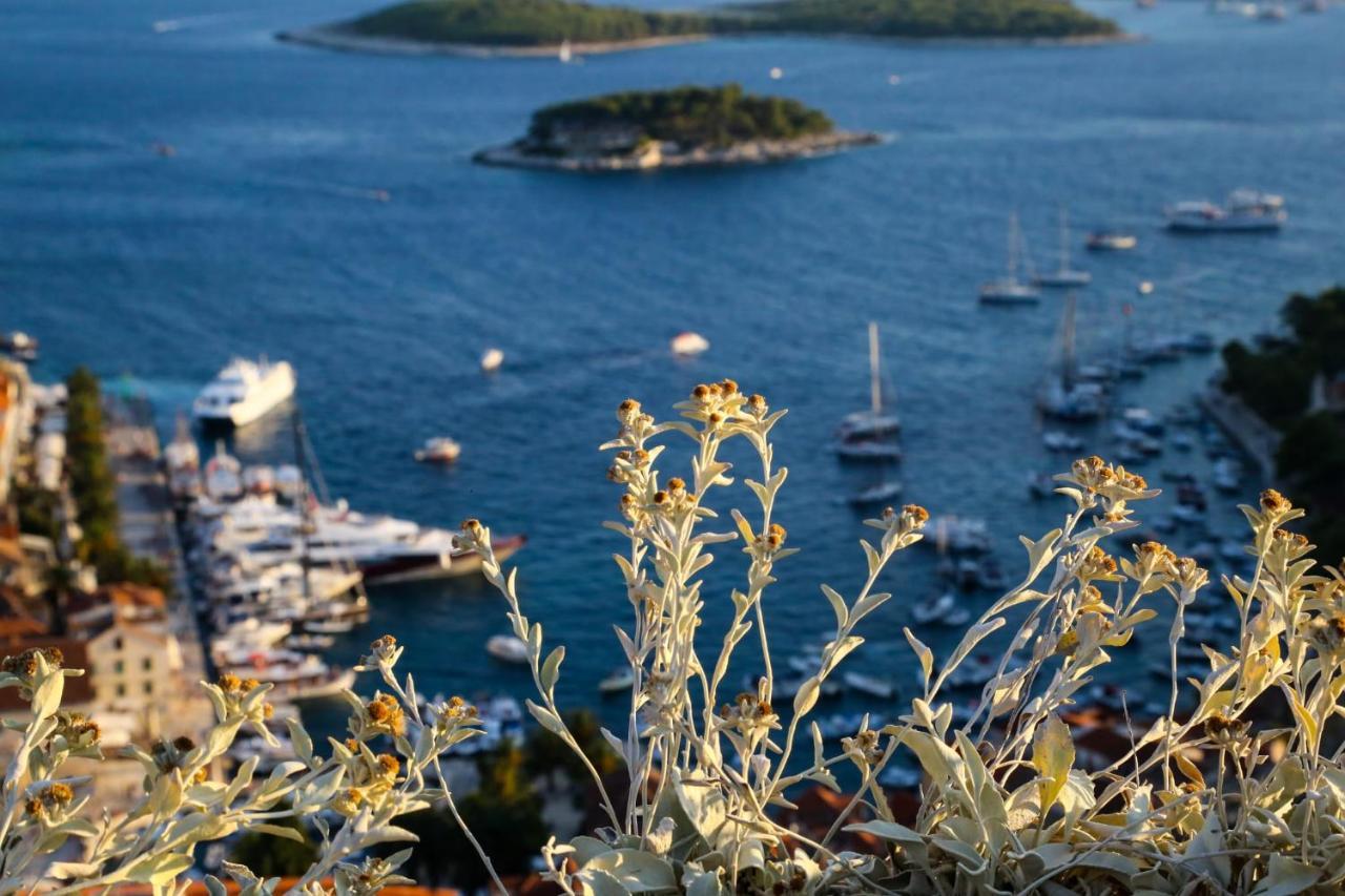 Feelhvar Along Bluelagoon Beach Hvar Town Luaran gambar